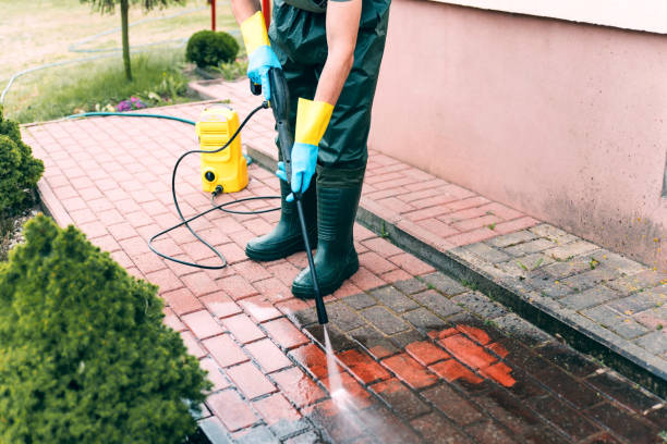 Animal Enclosure Cleaning in Providence, KY